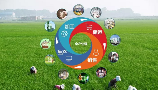 惠农网杰哥 农产品品牌归根结底就是产业链品牌——深度解析品牌管理之道